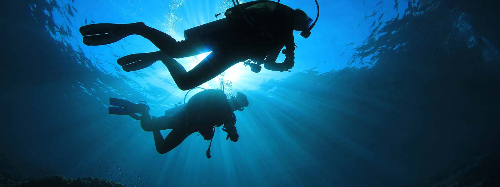Best Florida Getaways For Diving And Snorkeling